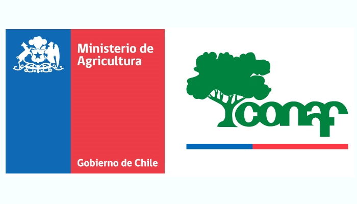 La ACHS y CONAF desarrollaron con éxito la semana de la seguridad 2020