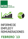 Informe de Empleo y Remuneraciones ACHS Febrero 2013